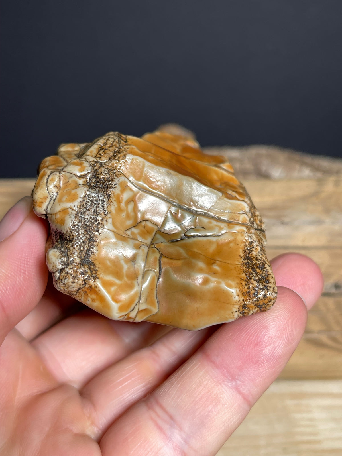(1134) Alxa Gobi Desert Stone- Natural Desert Varnish& weathered surface