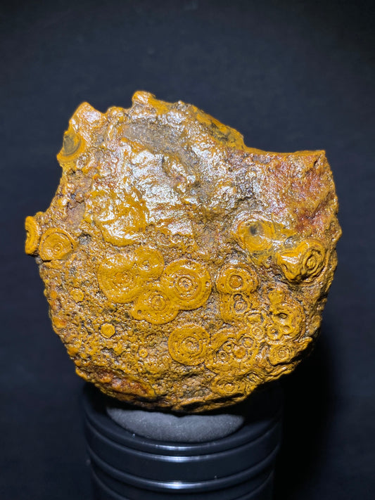 (1006)Alxa Gobi Desert Coin Eye Agate – Mongolian Gobi Stone with Natural Ring Pattern, Handheld Raw Spiral Agate for Collectors.