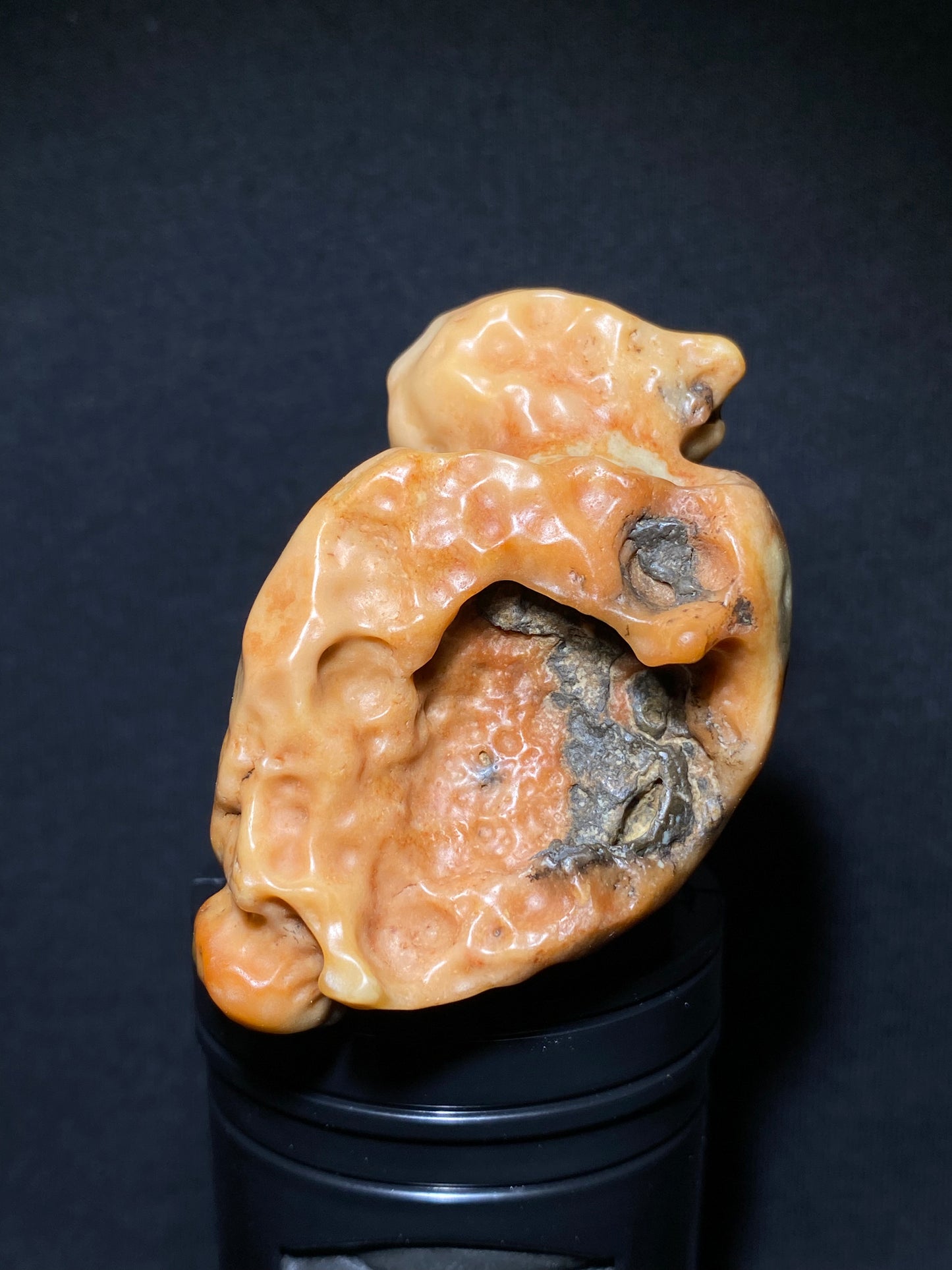 (1119)Alxa Gobi Desert Scenic Varnish Stone, Animal-like stone,  Naturally Bright Hue, Good for Display & Colloction