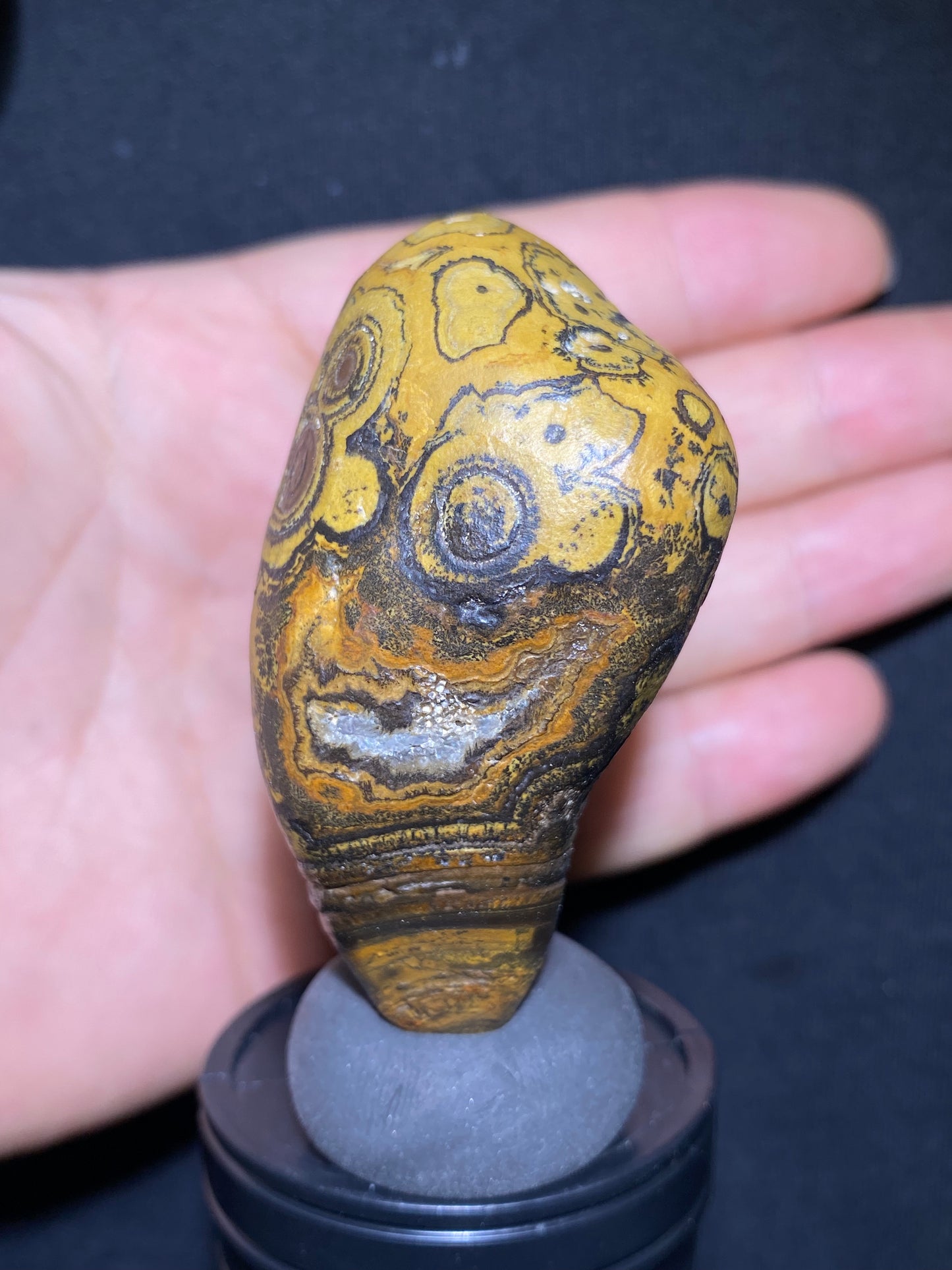 (1133)Alxa Gobi Agate – Rare Orbicular Mongolian Gobi Stone with Natural Ring or Coin Pattern, Handheld Raw Spiral Agate.