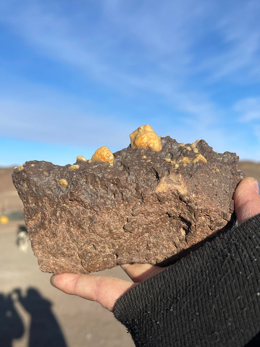 "A Stone’s Journey Through Human History"