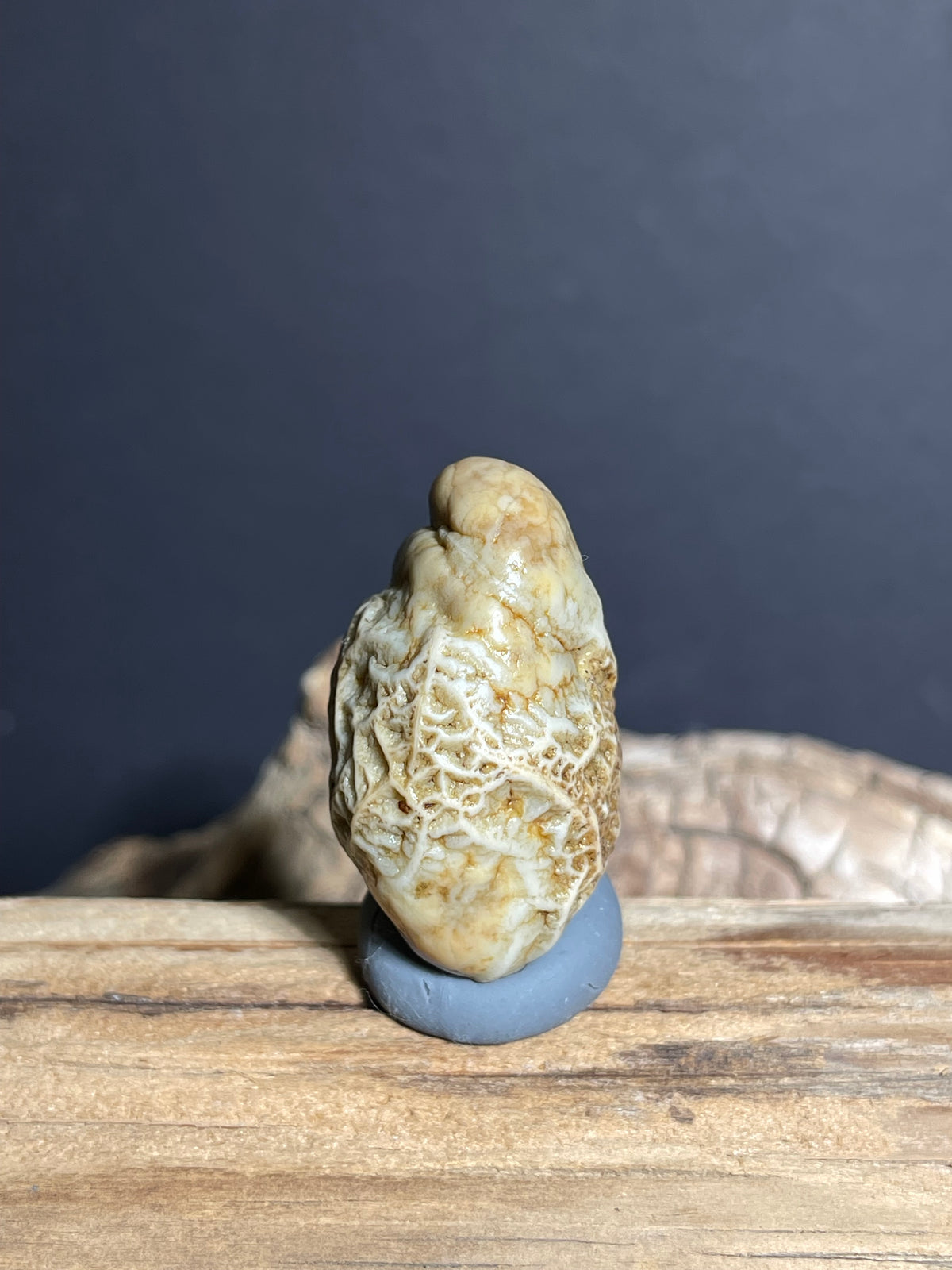 (1004)Natural Alxa Gobi Vein Agate with Lattice Pattern