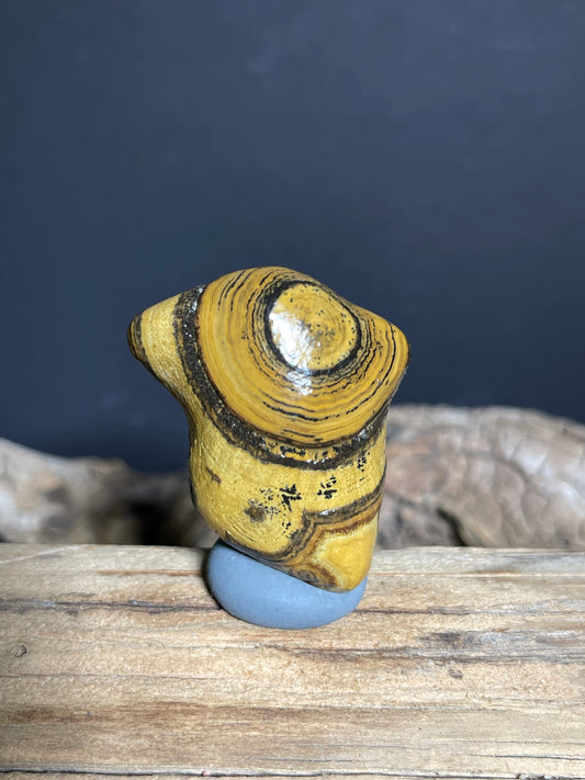 (1021)Natural Alxa  Gobi Coin Eye Agate - Golden Yellow with Bold Concentric Patterns
