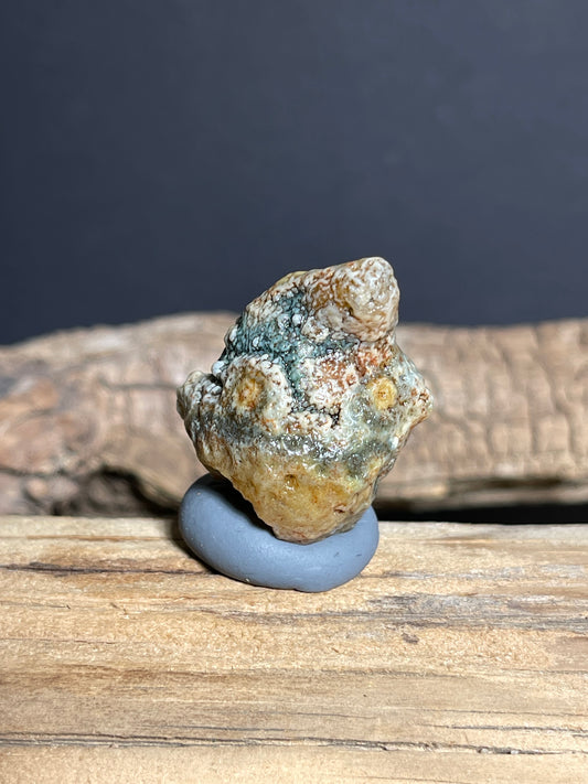 (1074)Natural Alxa Gobi Agate - Clown-Like Mimetolith with Botryoidal Texture