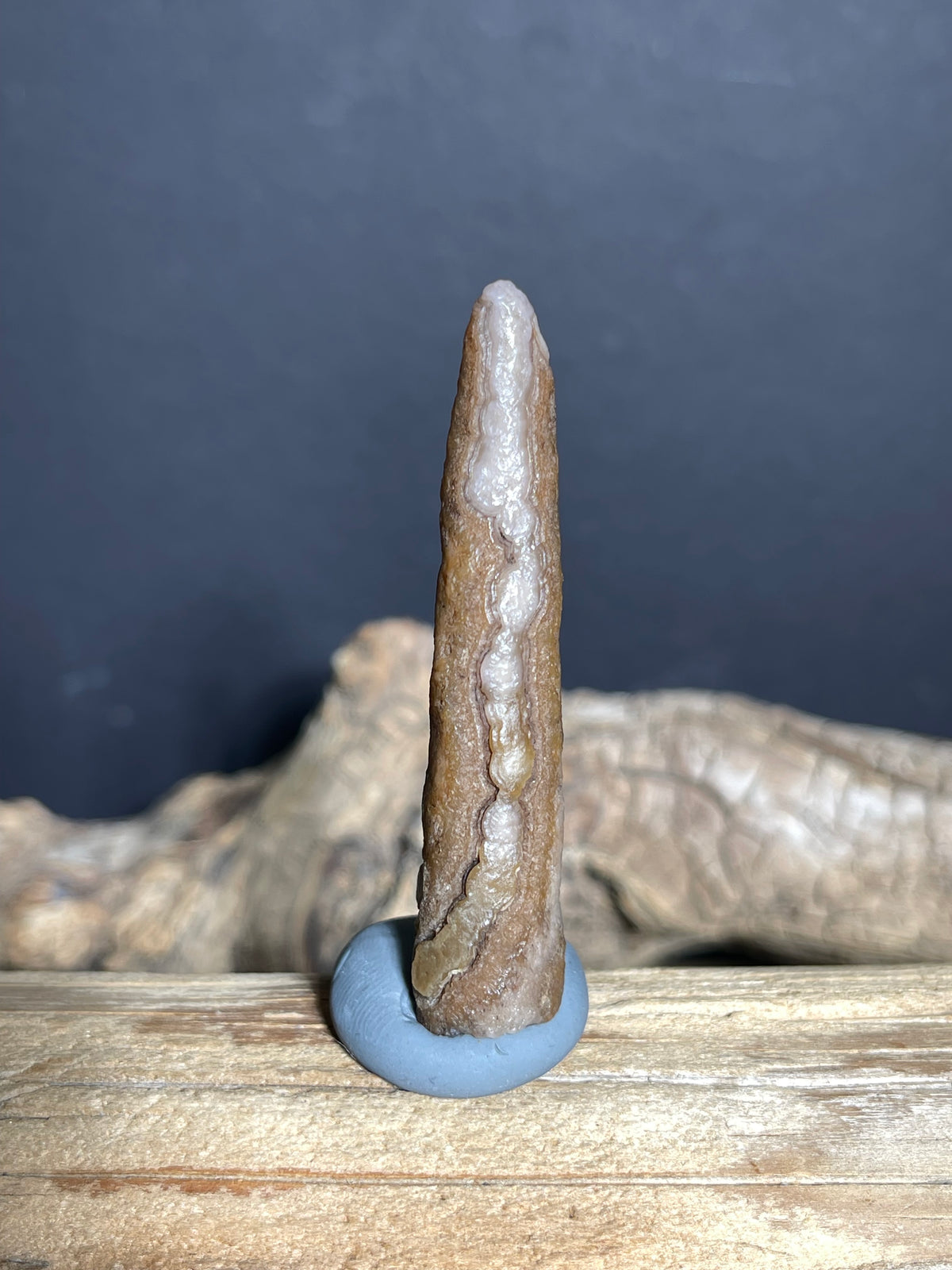 (1031) Natural Alxa Gobi Eye Agate - Long Narrow Stone with Raised Chalcedony Vein