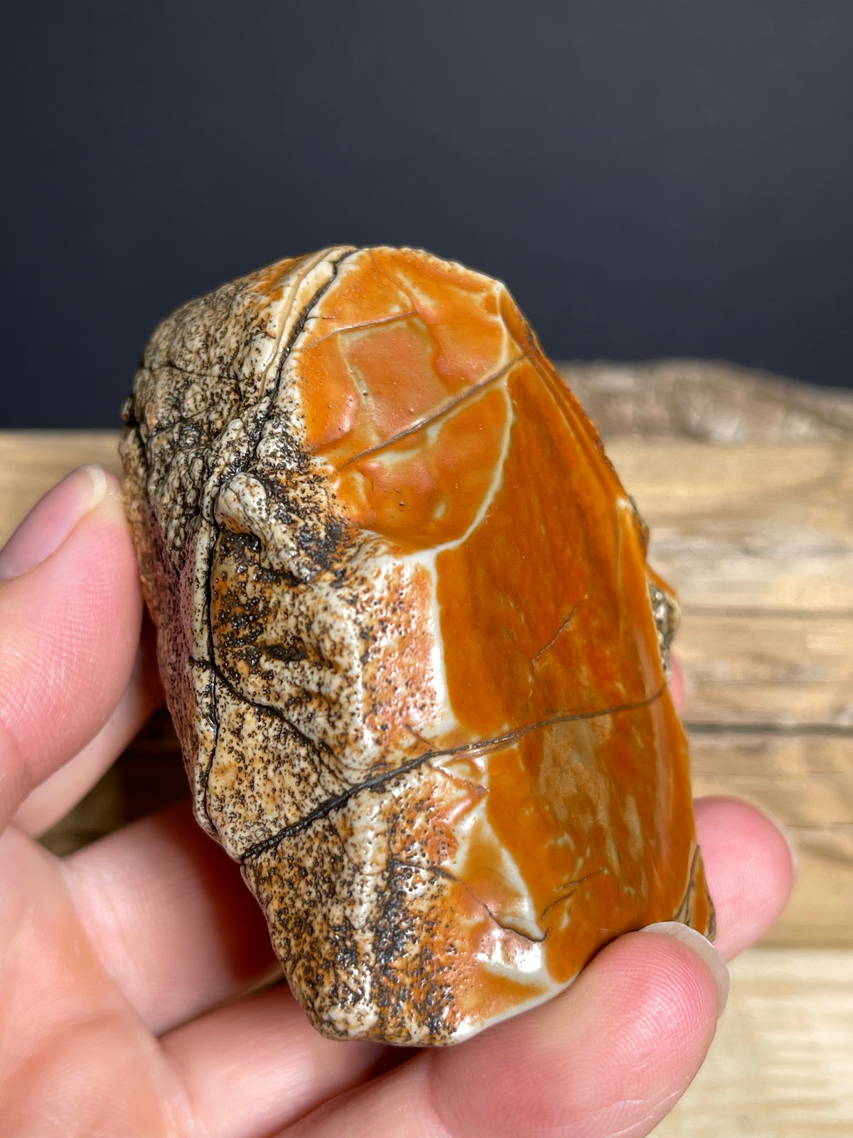 (1134) Alxa Gobi Desert Stone- Natural Desert Varnish& weathered surface