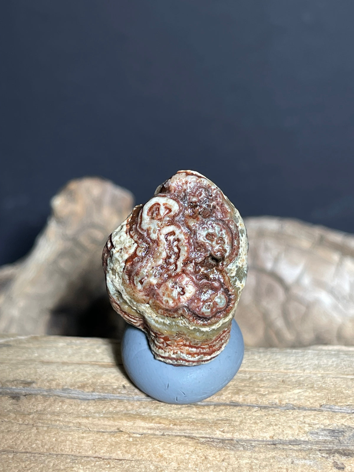 (1093)Natural Alxa Gobi Eye Agate - Orbicular Eye Pattern Specimen