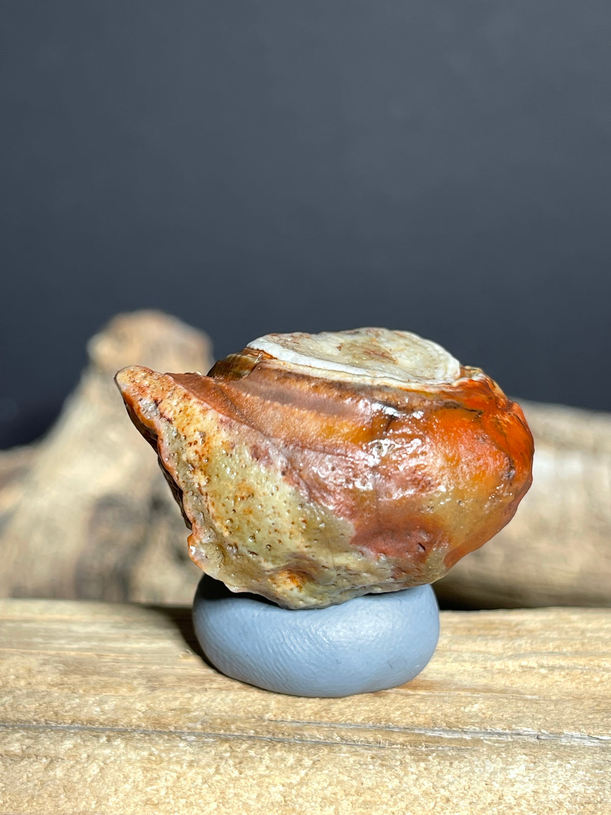 (1130) Natural Alxa Gobi Red Eye Agate- Large Concentric Eye Collector Specimen