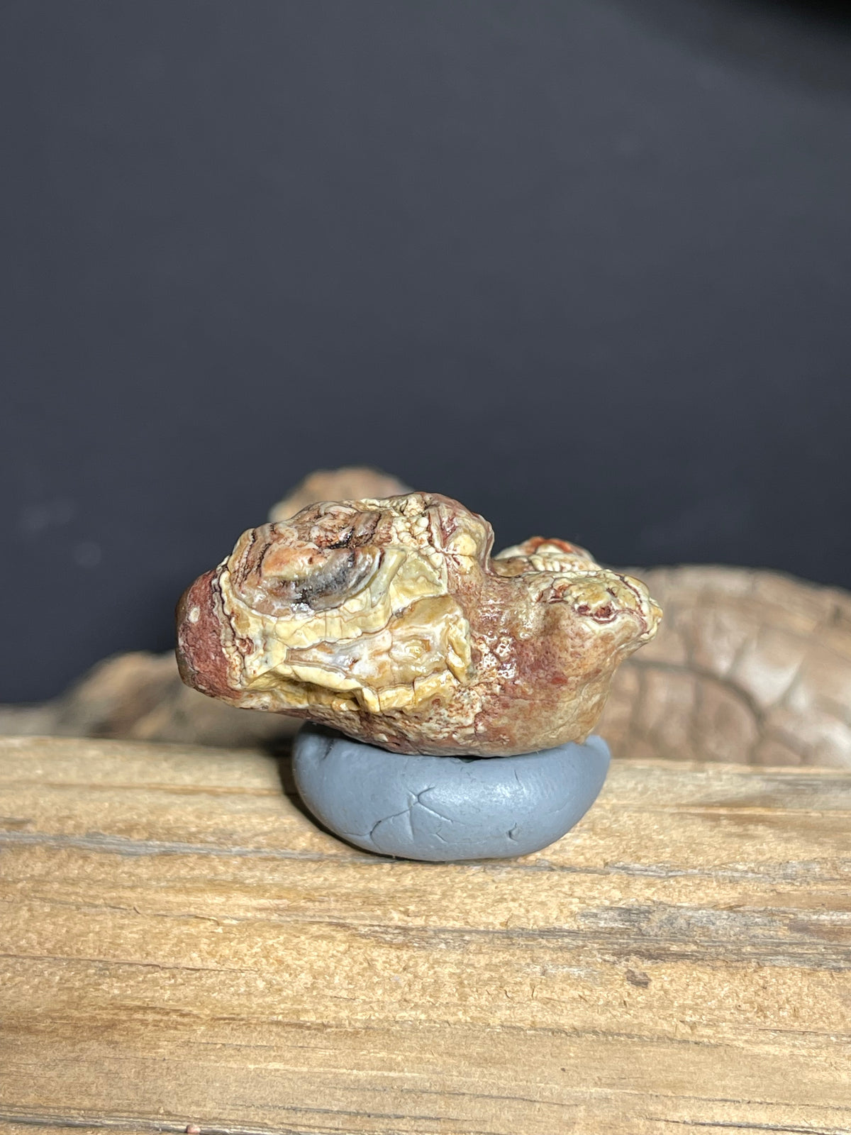 (1102)Natural Alxa Gobi Eye Agate - Sculptural Mimetolith with Concentric Eye Formation