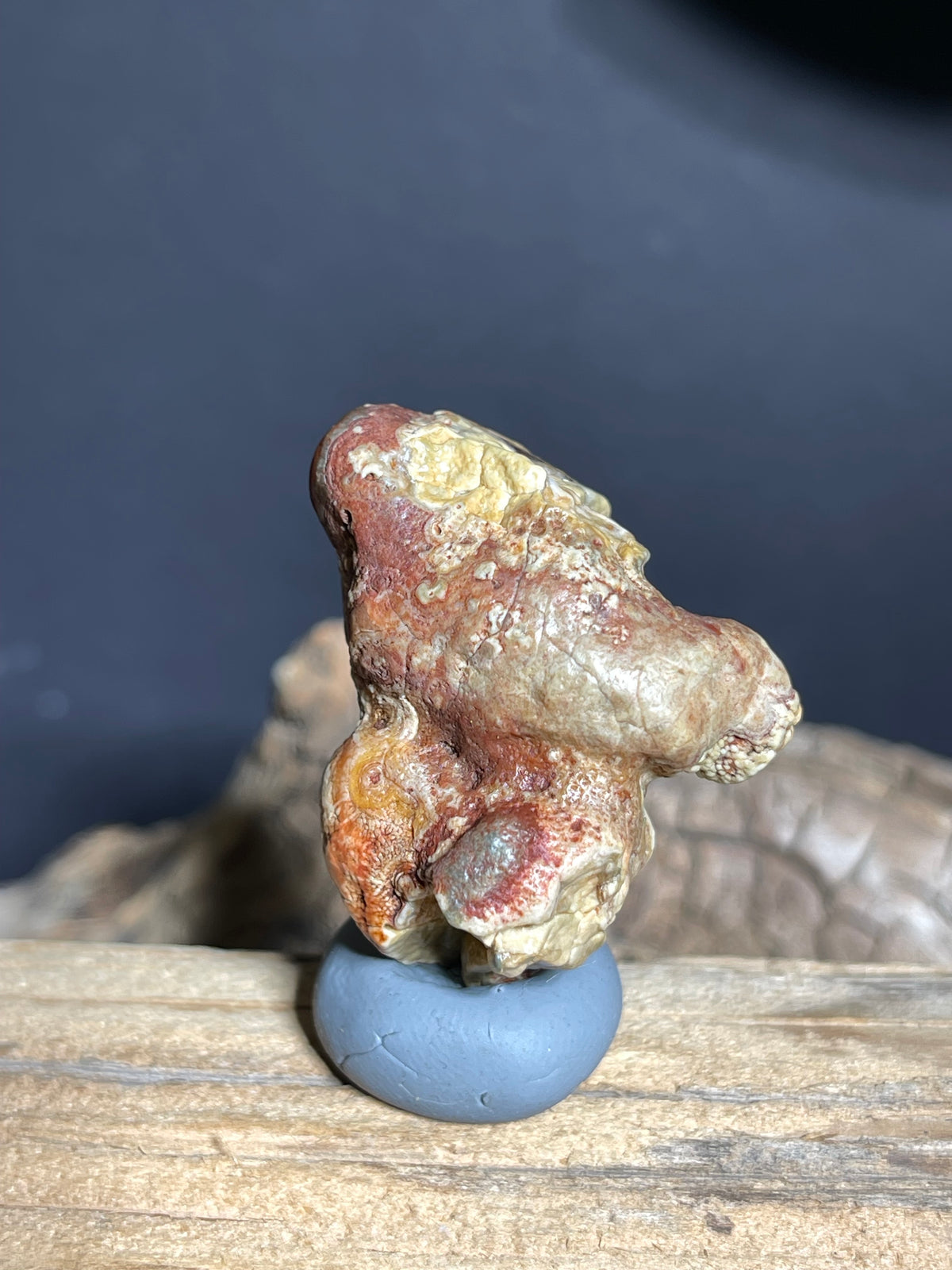 (1102)Natural Alxa Gobi Eye Agate - Sculptural Mimetolith with Concentric Eye Formation