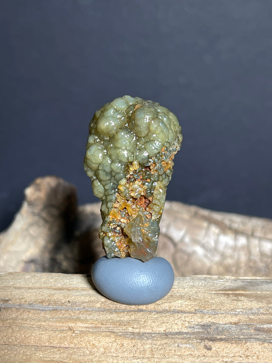 (1098) Natural XinJiang Gobi Agate - Soft Green Tones with Botryoidal specimen