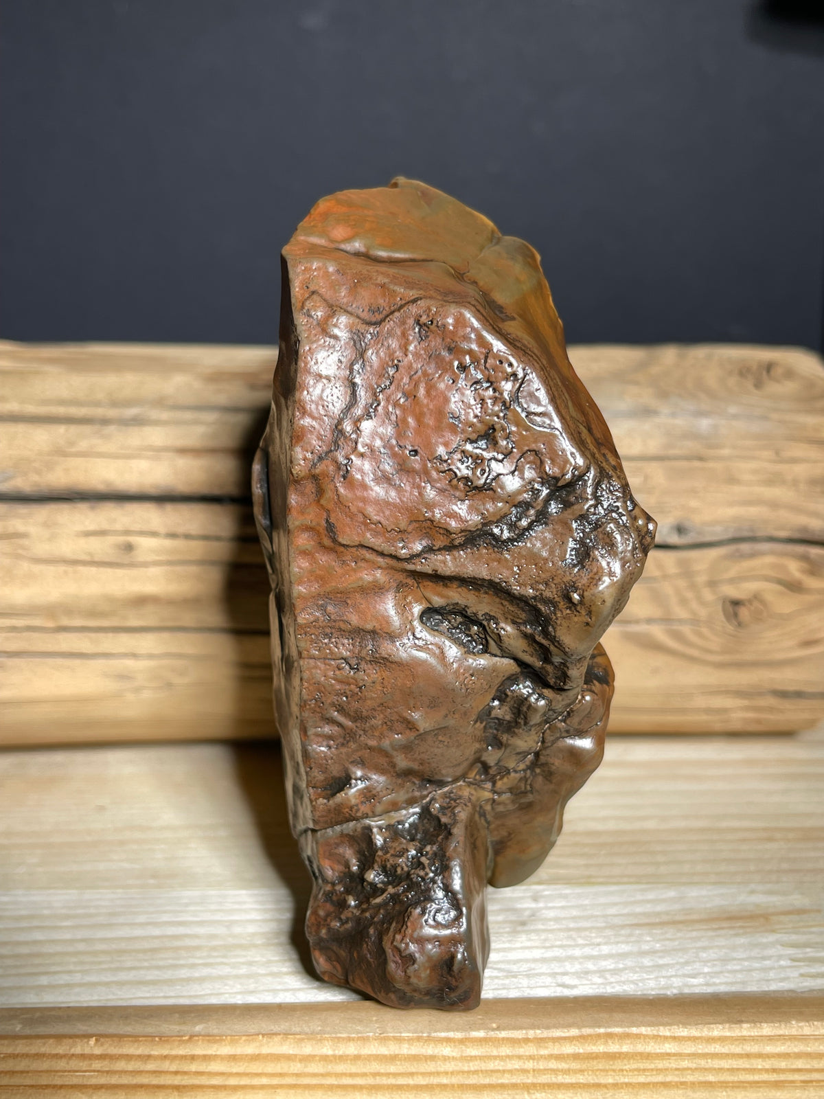 (1049)Large Natural Alxa Gobi Agate - Sculptural Brown Desert Stone