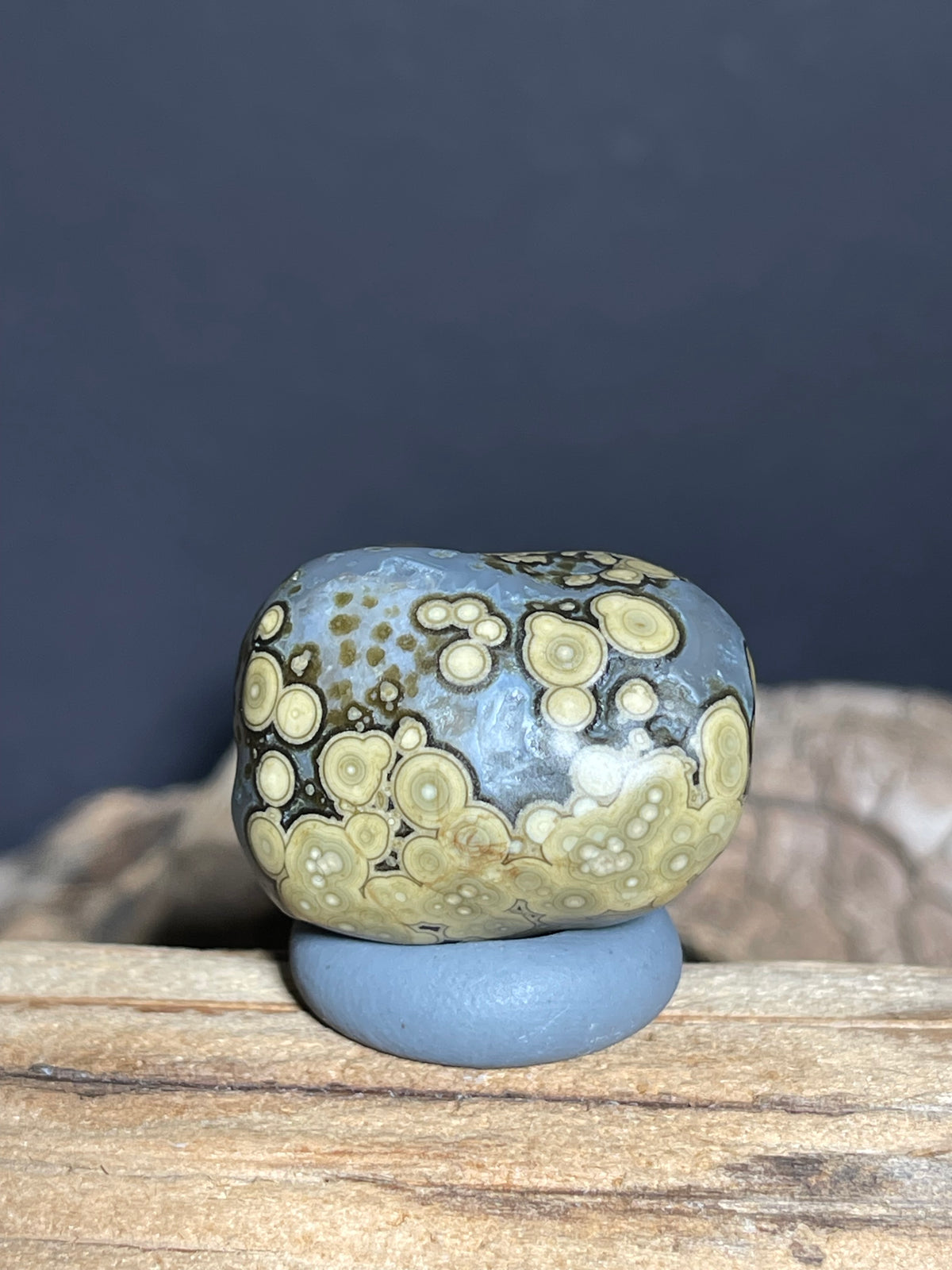 (1019)Natural Alxa Gobi Multi-Eye Agate - Yellow Orbicular Patterns