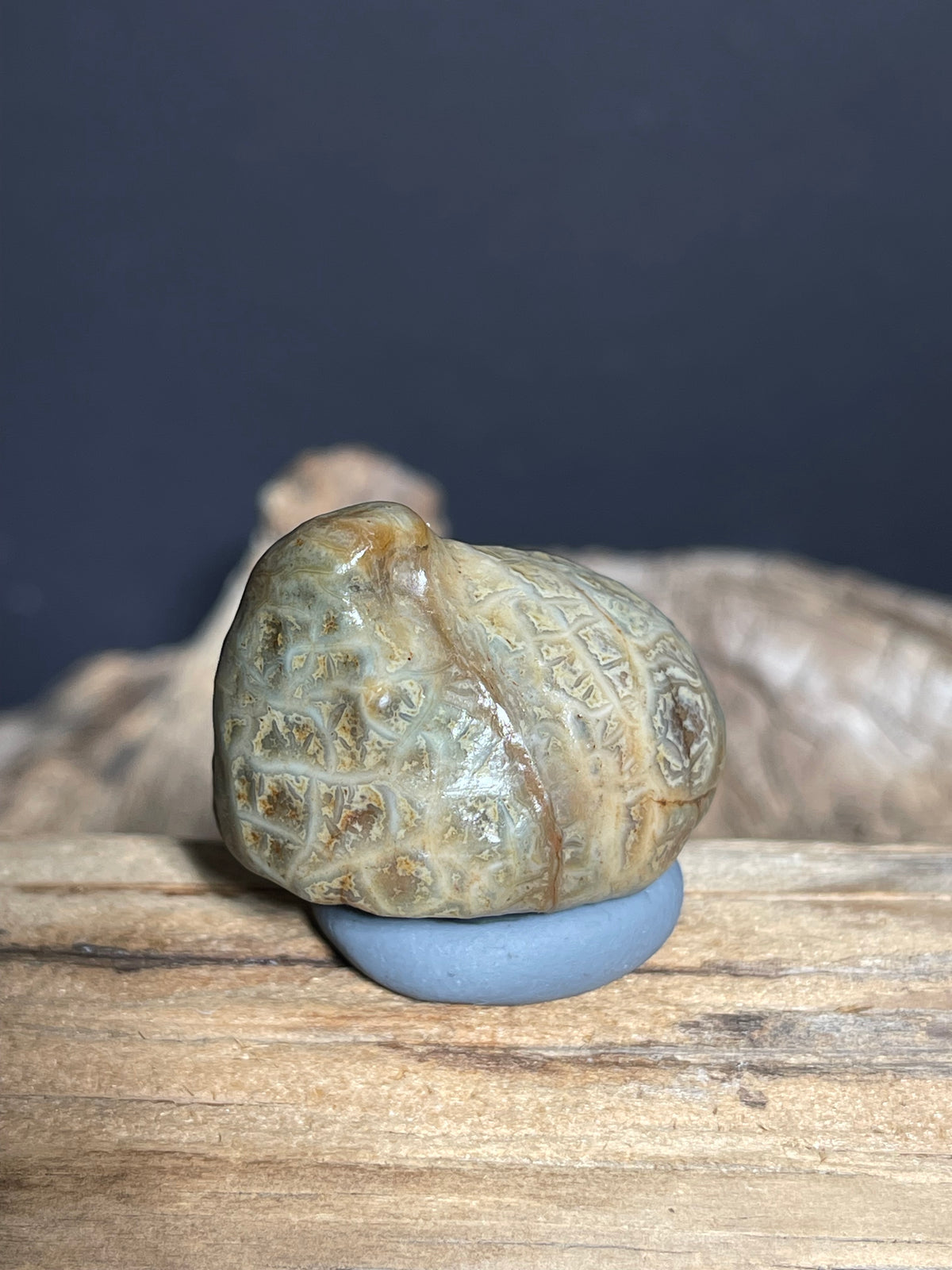 (1038)Natural Alxa Gobi Vein Agate - Intricate Maze-Like patterns