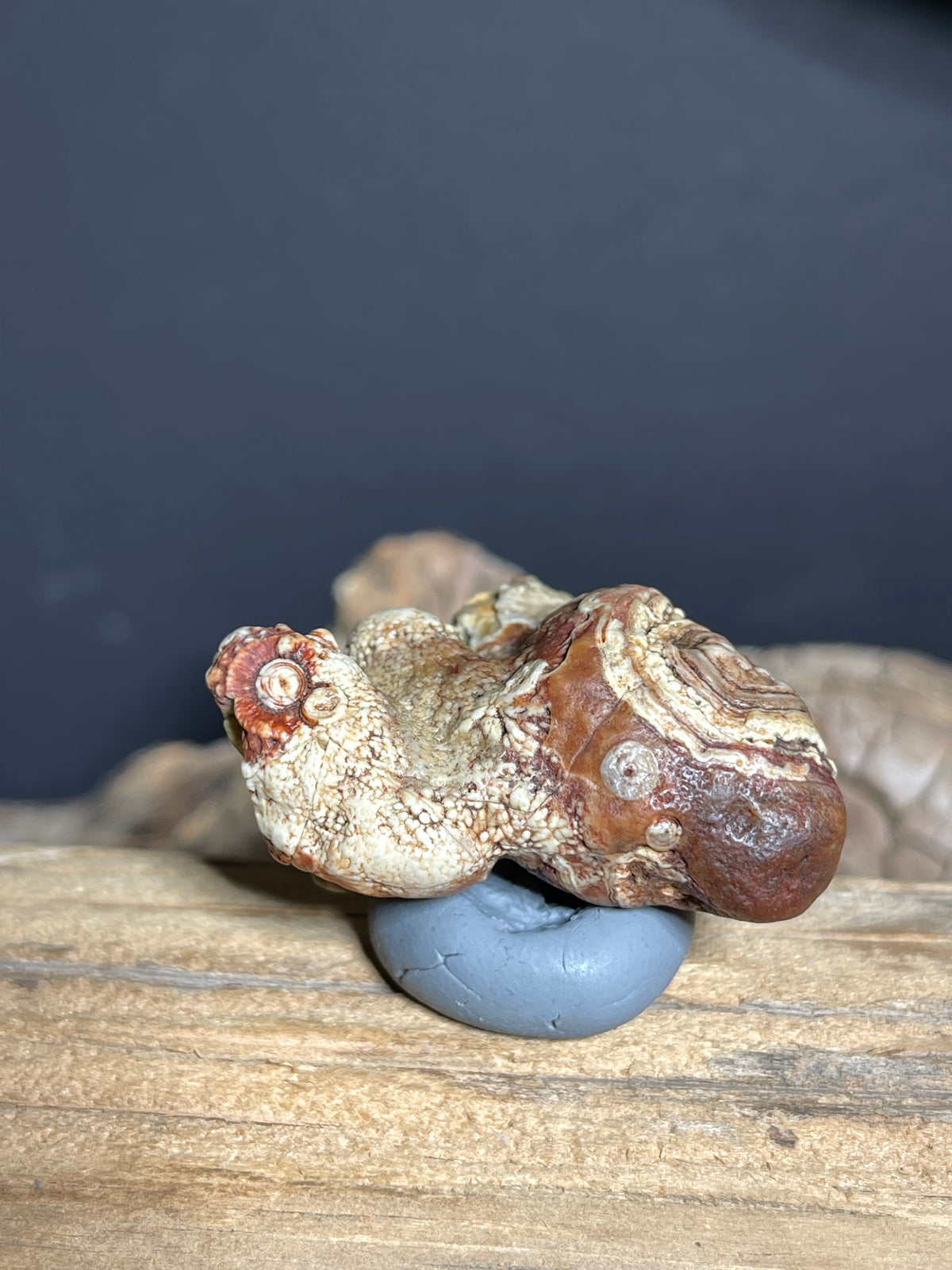 (1102)Natural Alxa Gobi Eye Agate - Sculptural Mimetolith with Concentric Eye Formation