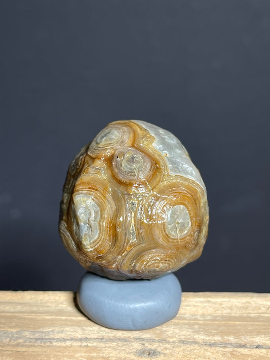 (1138) Natural Alxa Gobi Eye — Concentric Orbicular Banding