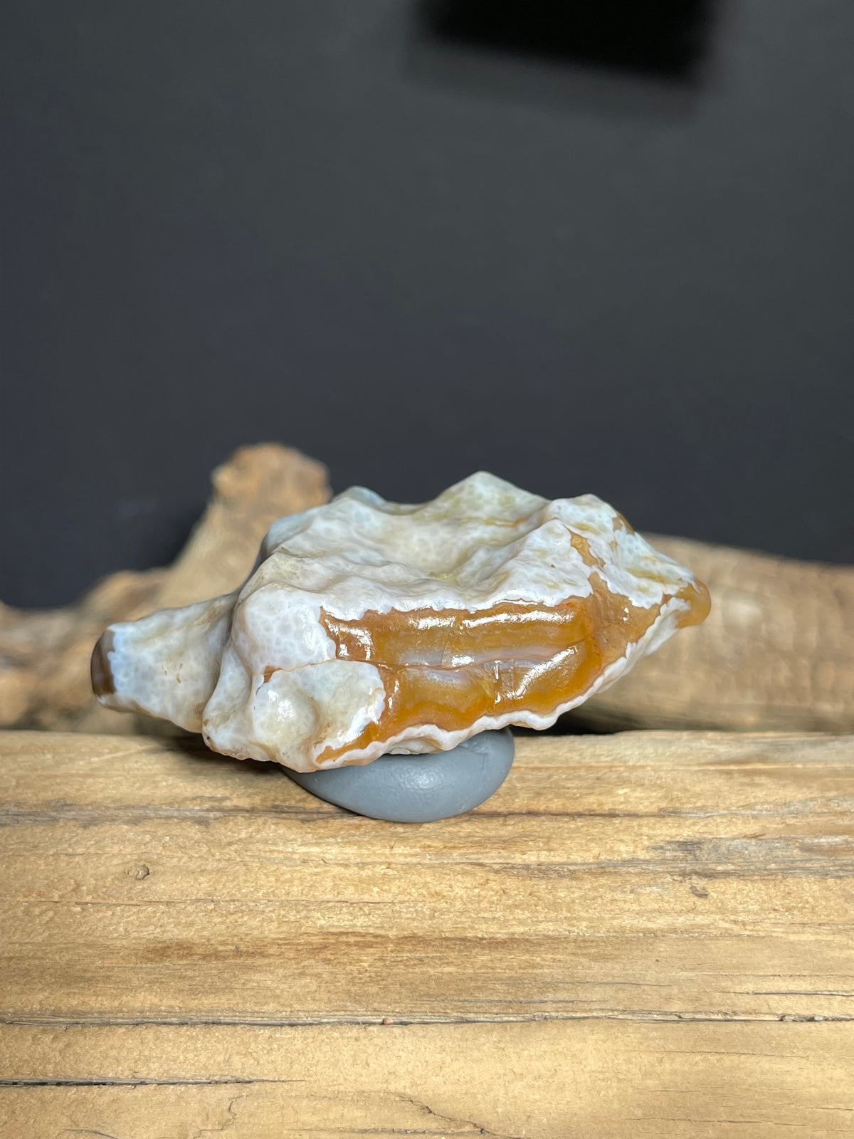 (1056)Natural Alxa Gobi Agate - Honey Brown Agate with White Botryoidal Texture