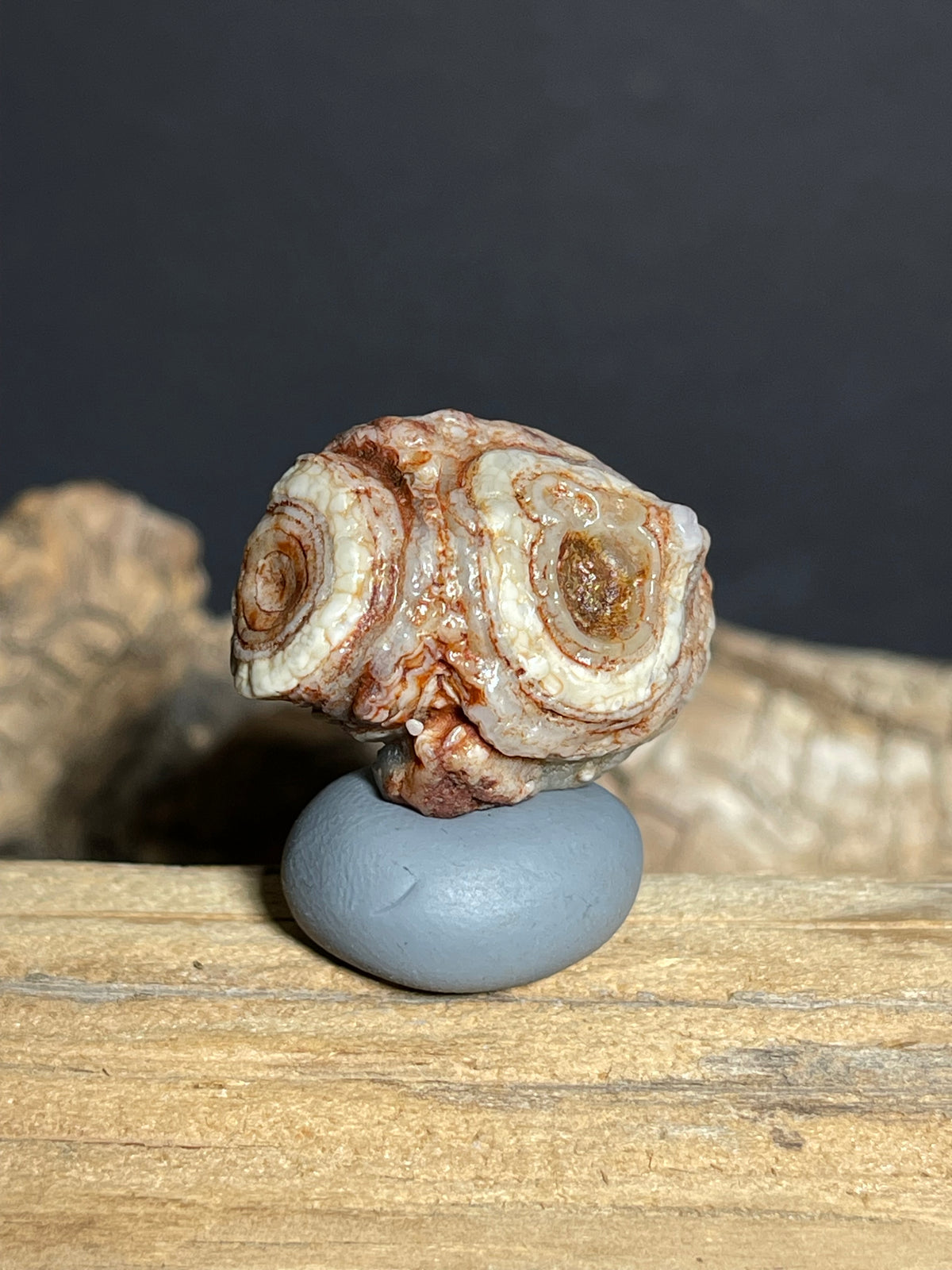 (1097)Natural Alxa Gobi Eye Agate Specimen- Cute Owl-Like Double Eye Pattern
