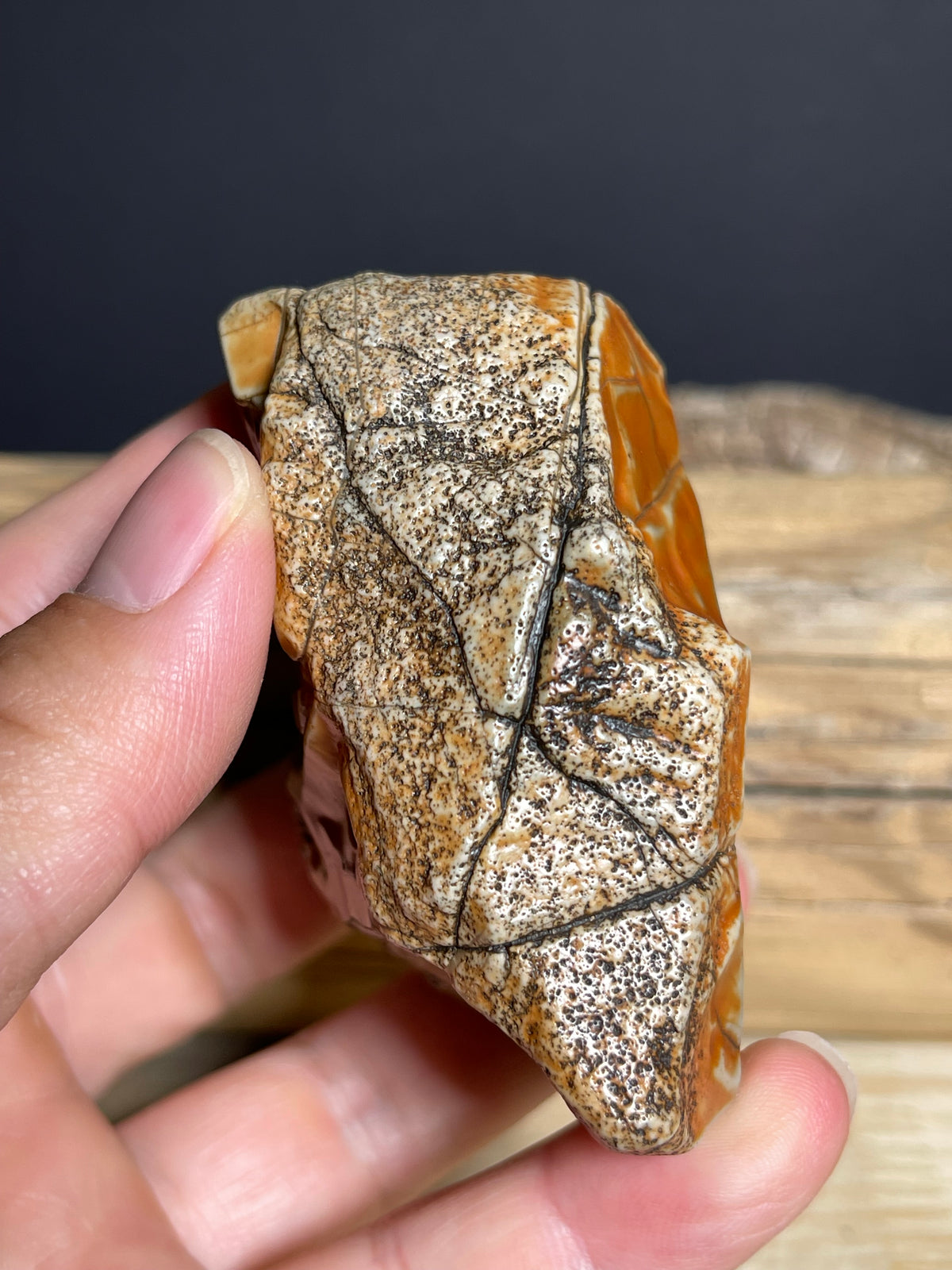 (1134) Alxa Gobi Desert Stone- Natural Desert Varnish& weathered surface