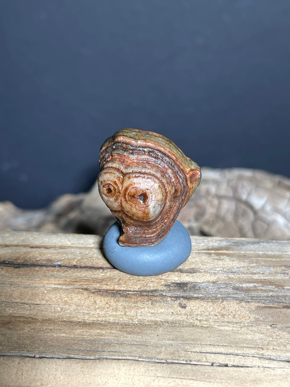 (1024)Natural Alxa Gobi Eye Agate - Owl-Like Double Eye Stone
