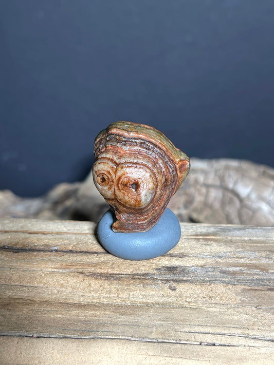 (1024)Natural Alxa Gobi Eye Agate - Owl-Like Double Eye Stone