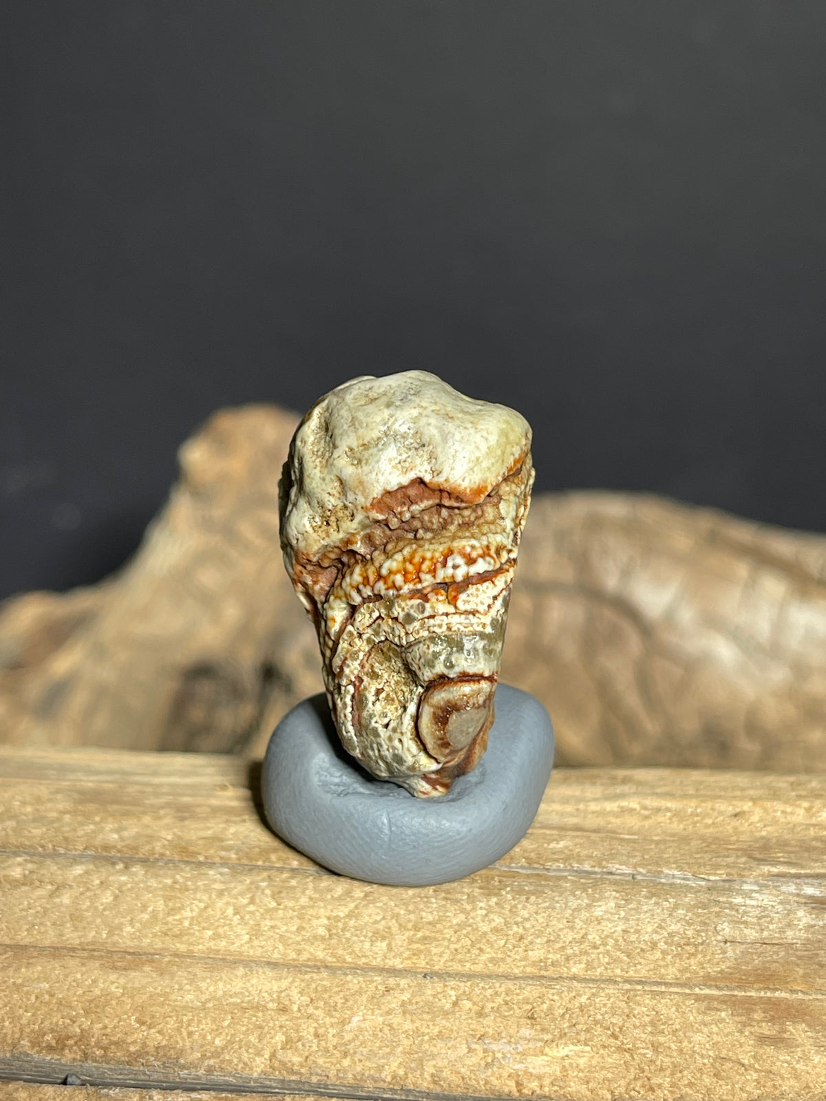 (1129) Natural Alxa Gobi Red Eye Agate -  Concentric Eye & Buddha-like Figure