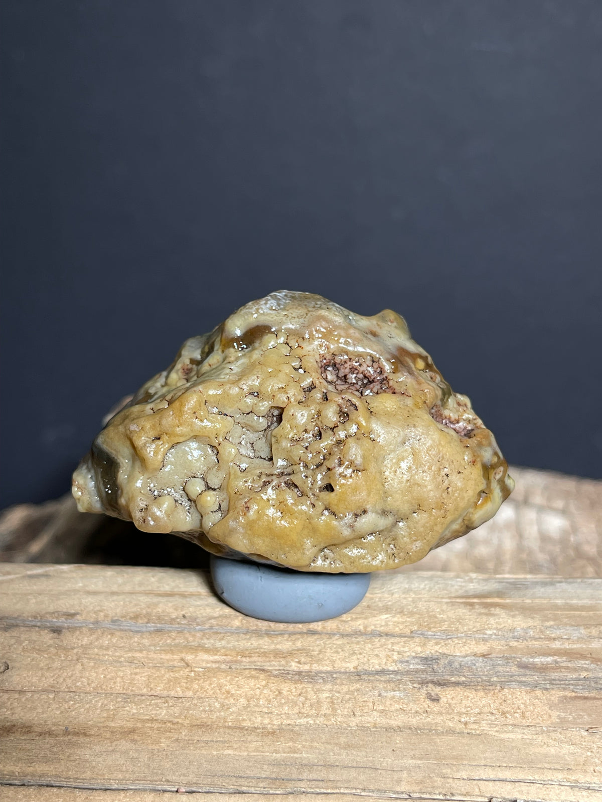 (1095)Natural Alxa Gobi Agate - Golden Botryoidal Desert Specimen