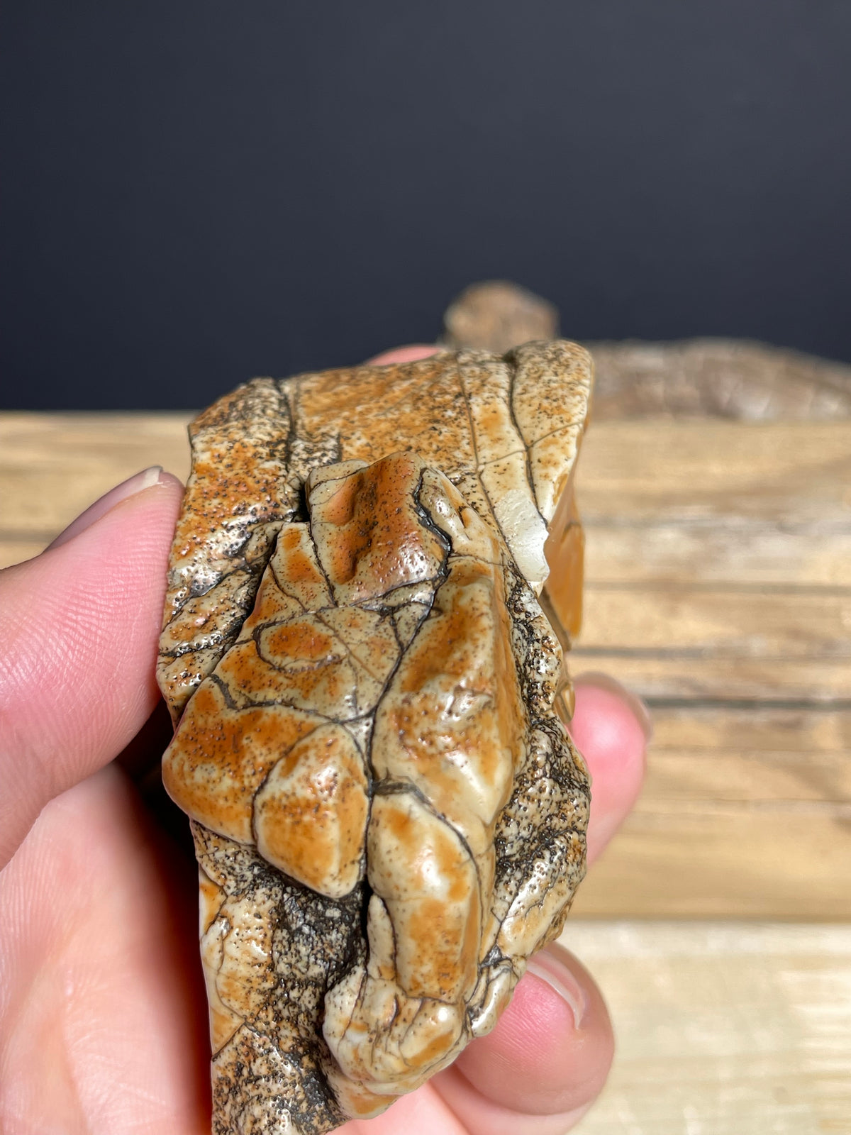 (1134) Alxa Gobi Desert Stone- Natural Desert Varnish& weathered surface