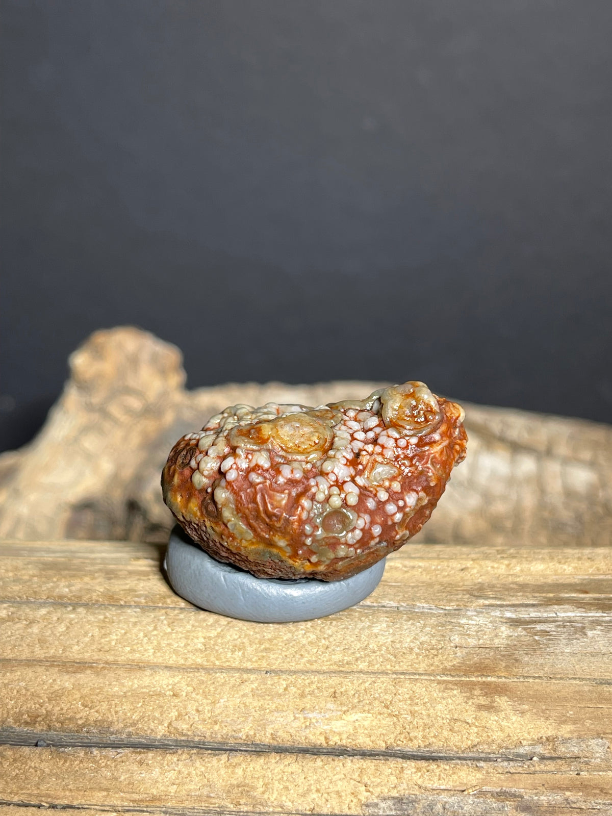 (1128) Natural Alxa Gobi Red Eye Agate- Botryoidal Texture& Multiple Orbicular Eyes