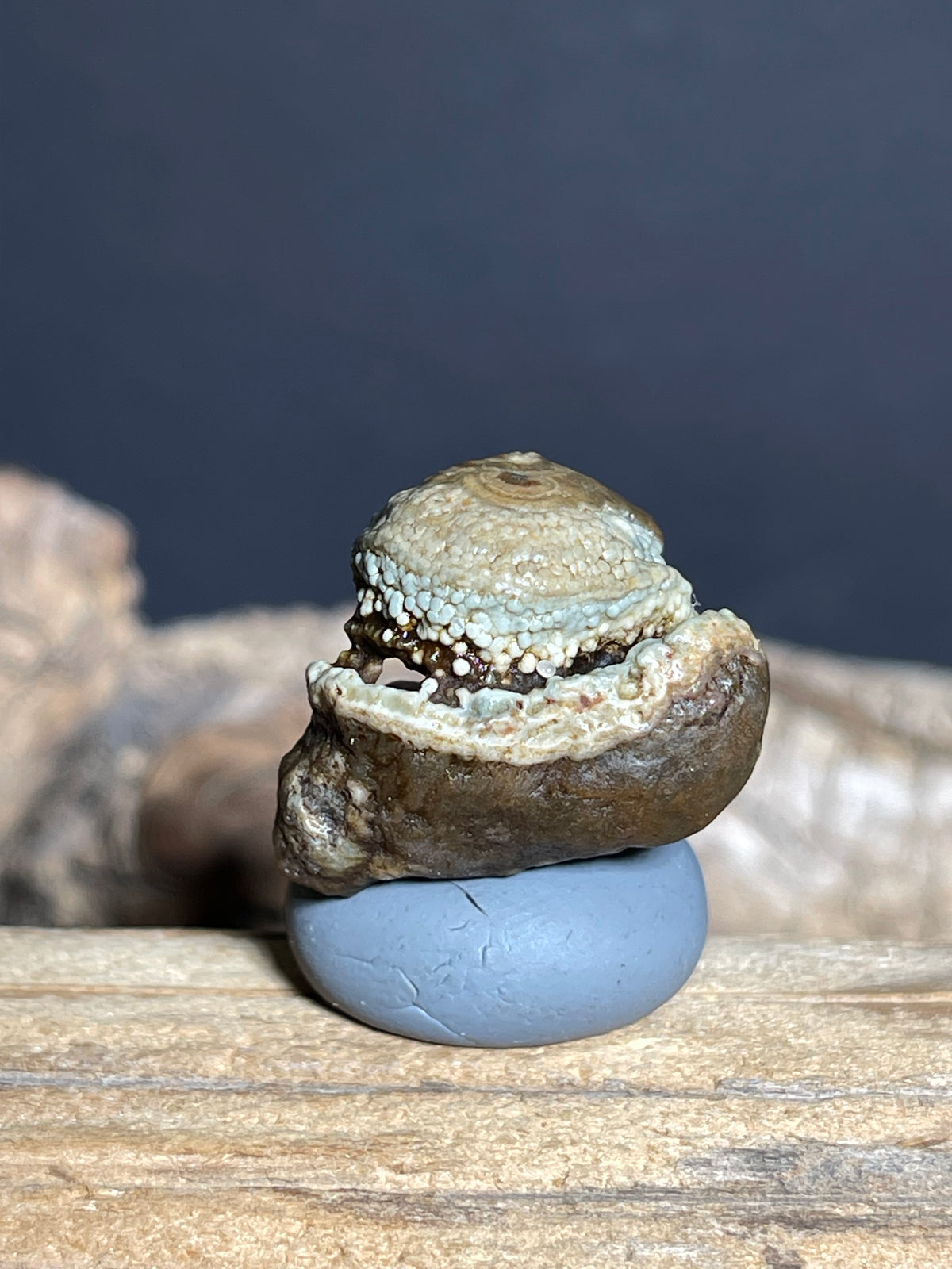 (1091)Natural Alxa Gobi Eye Agate - Buddha Figure Mimetolith Specimen