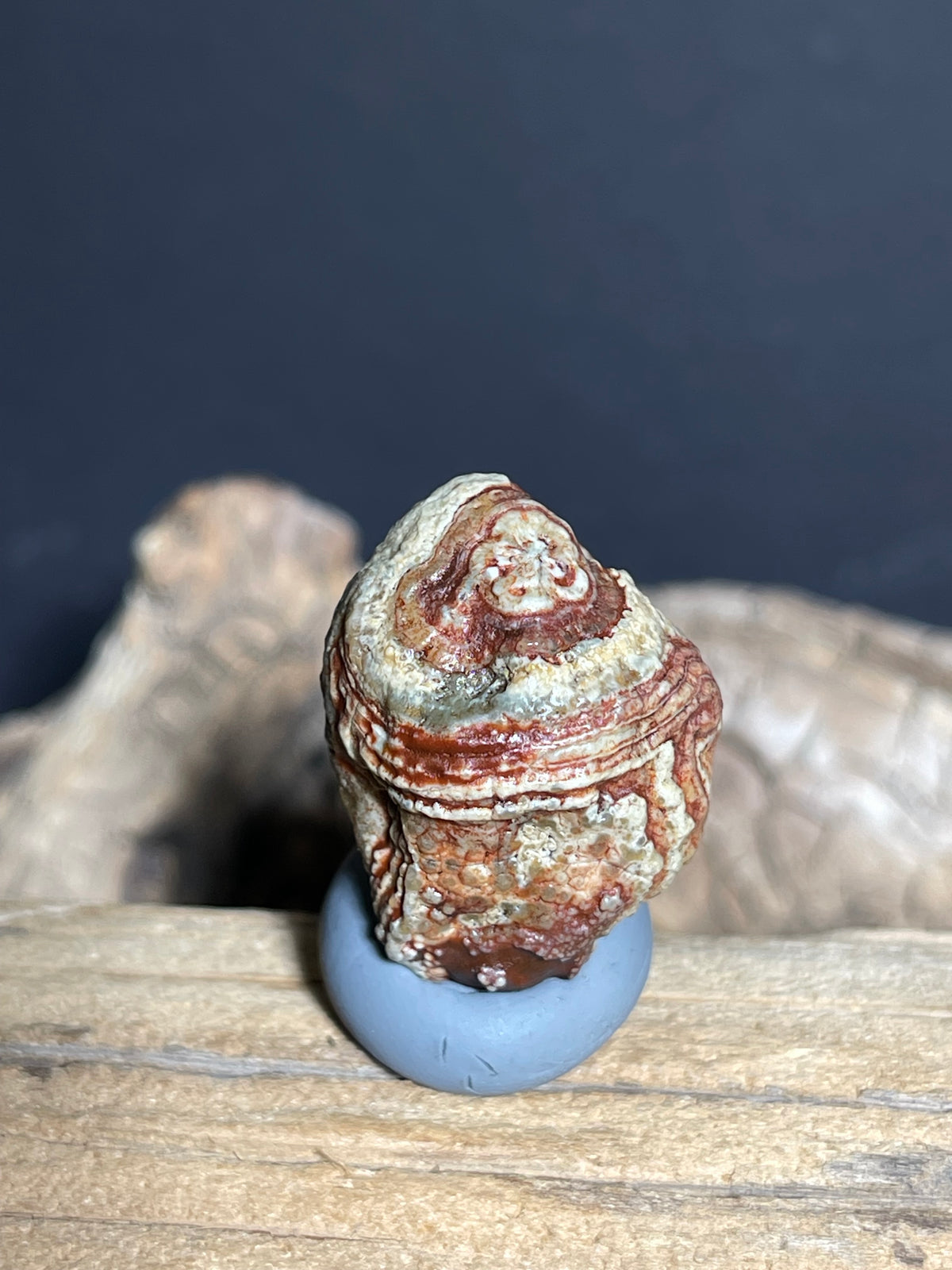 (1093)Natural Alxa Gobi Eye Agate - Orbicular Eye Pattern Specimen