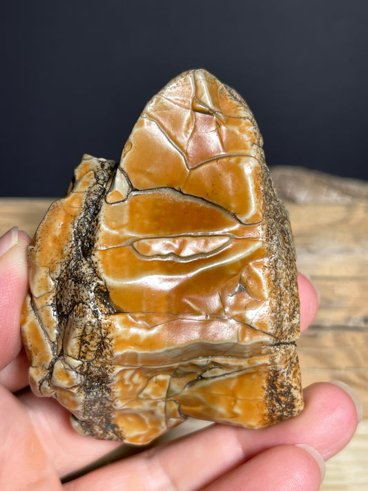 (1134) Alxa Gobi Desert Stone- Natural Desert Varnish& weathered surface