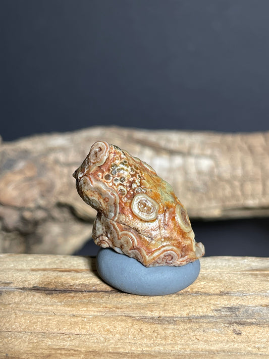 (1079)Ntural Alxa Gobi Eye Agate - Multi-Eye Animal-Like Formation