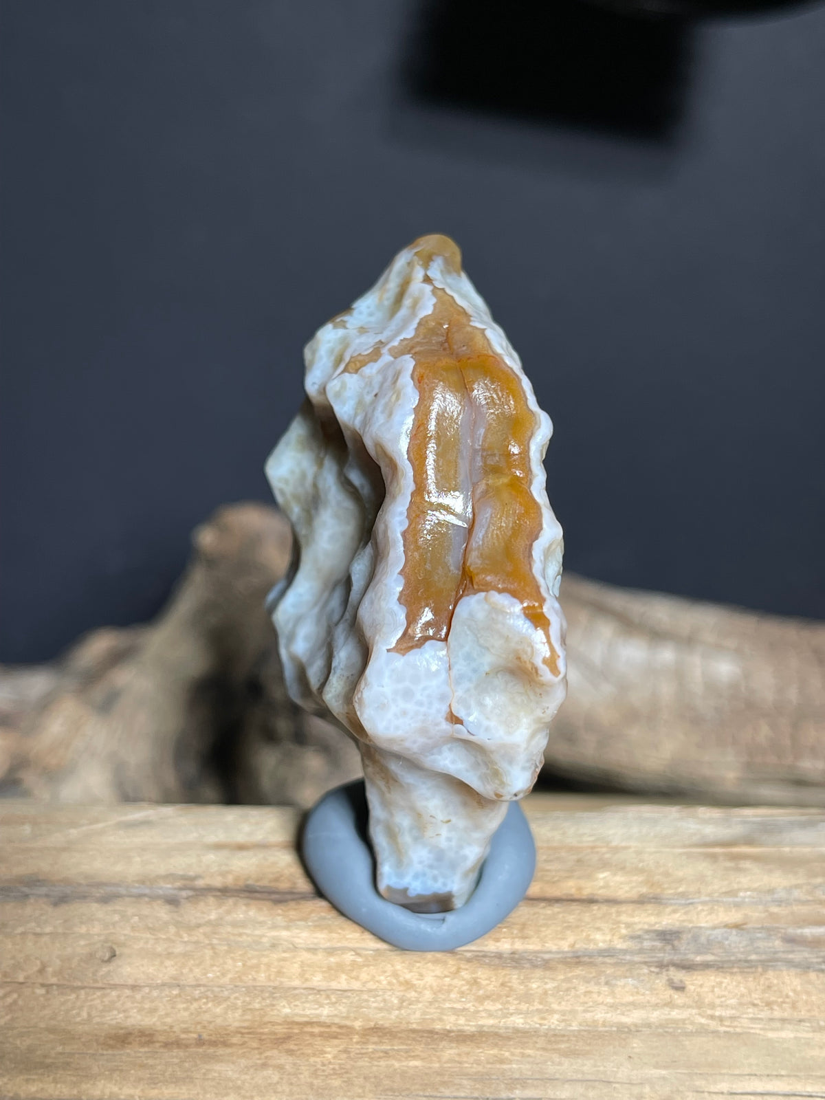 (1056)Natural Alxa Gobi Agate - Honey Brown Agate with White Botryoidal Texture