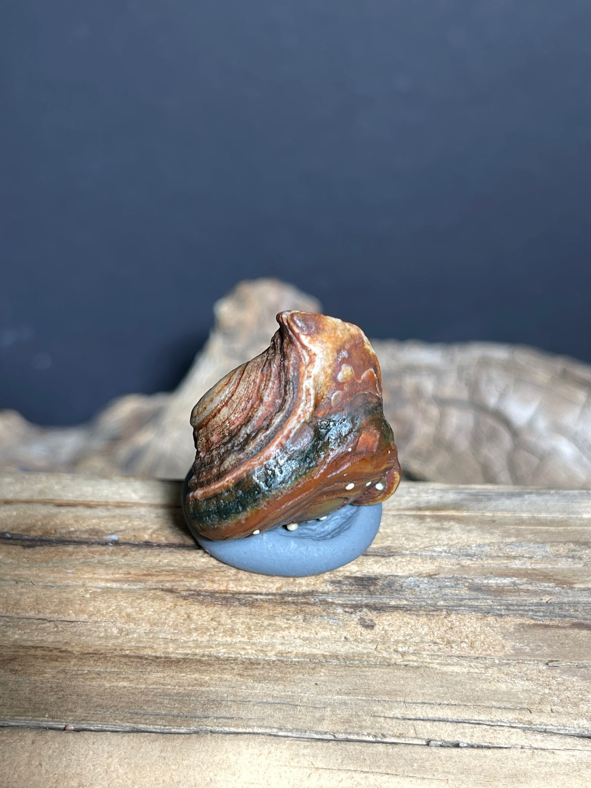 (1024)Natural Alxa Gobi Eye Agate - Owl-Like Double Eye Stone