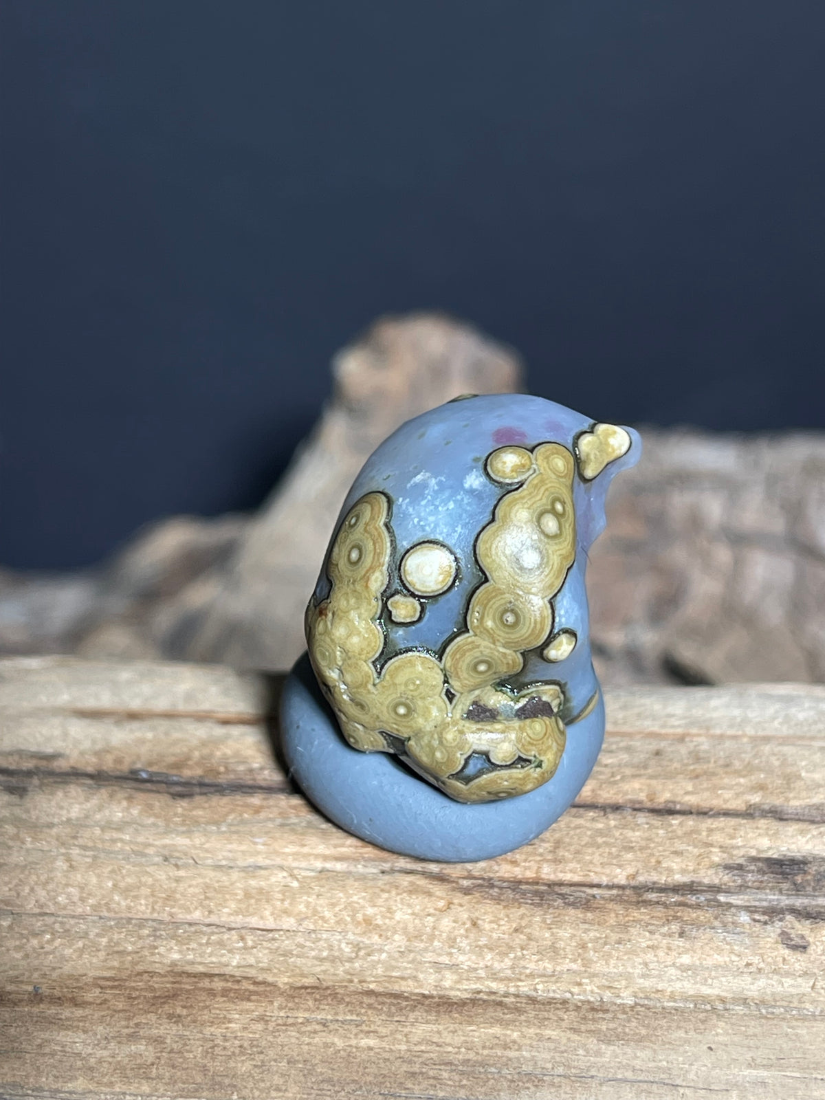 (1017)Natural Alxa Gobi Eye Agate - Blue Gray Stone with Golden Orbicular Eyes