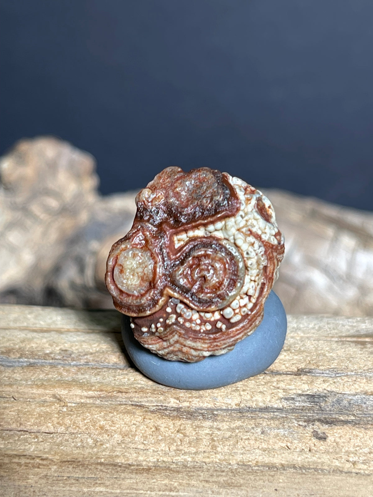 (1084)Natural Alxa Gobi Eye Agate - Multi-Eye Orbicular Pattern