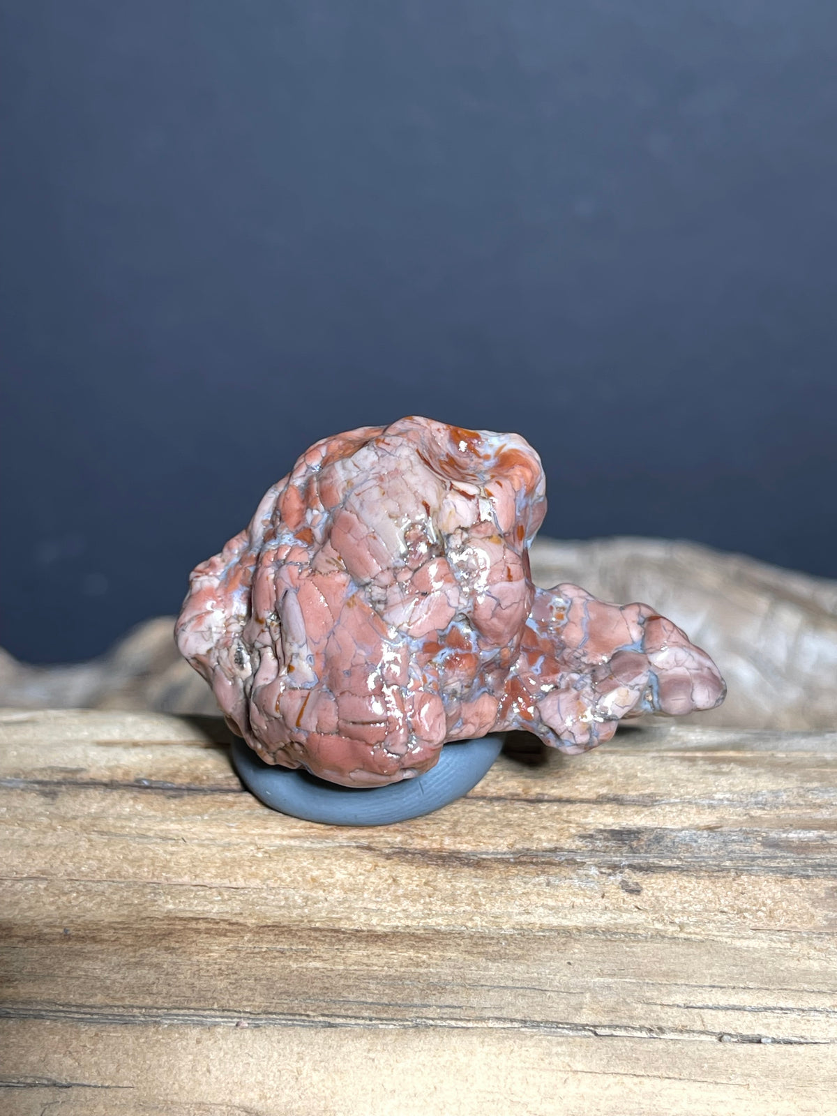 (1036)Natural Alxa Gobi Agate - Animal-Like Stone