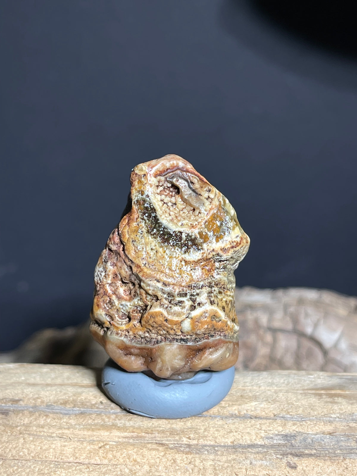 (1100)Natural Alxa Gobi Eye Agate - Large Oval Concentric Eye with Layered Banding