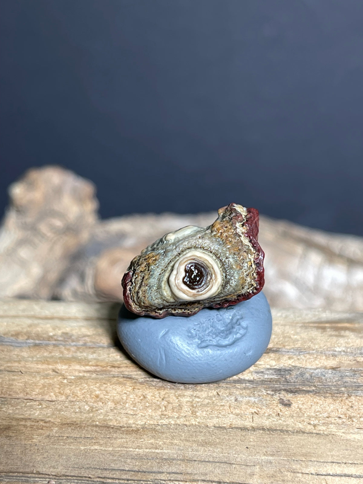(1089)Natural Alxa Gobi Eye Agate - Double Raised Eyes, Owl-Like Form