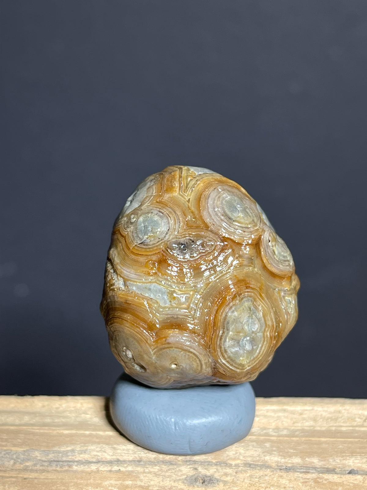 (1138) Natural Alxa Gobi Eye — Concentric Orbicular Banding