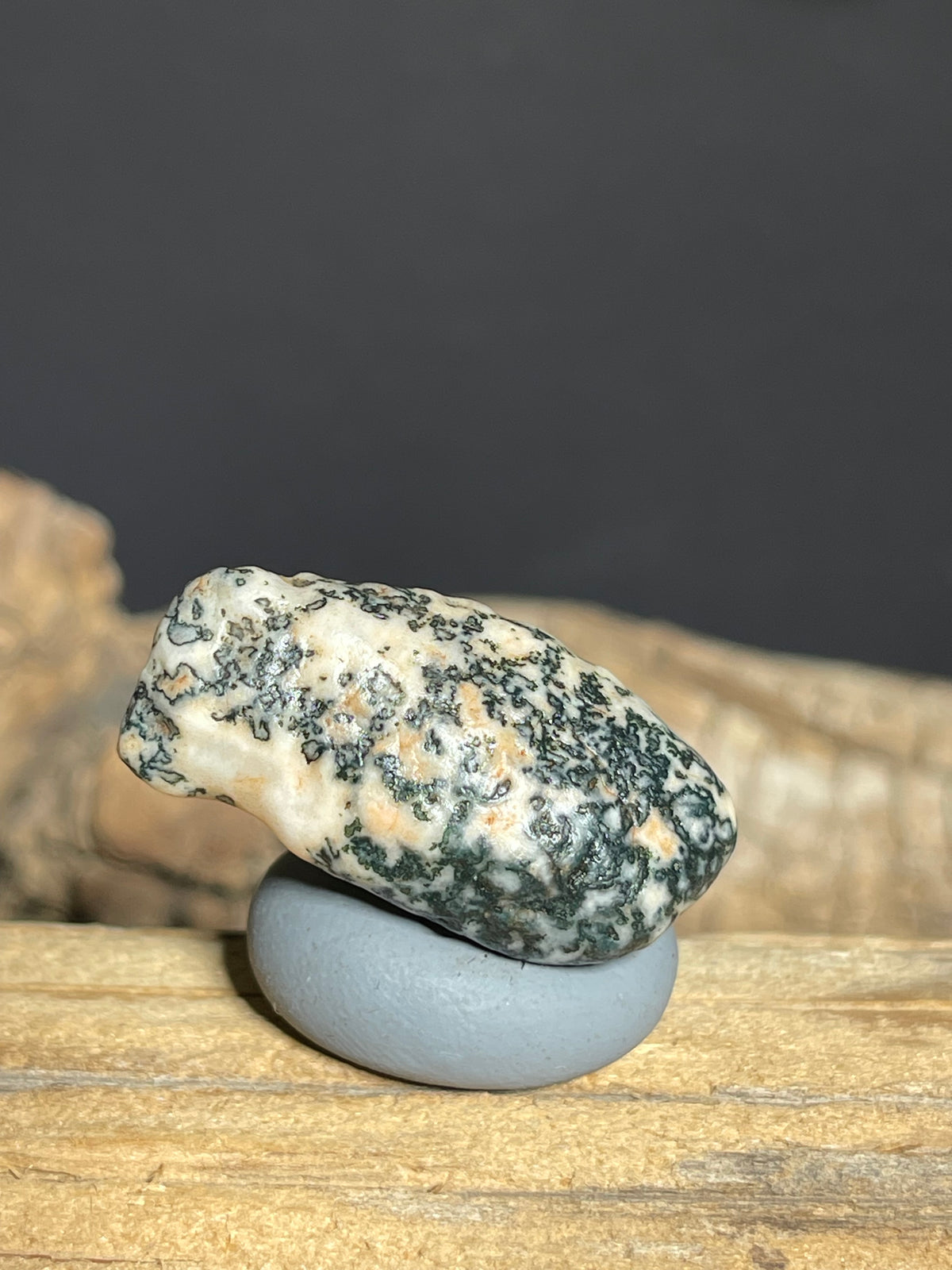 (1107)Natural Alxa Gobi Agate - Black Dendritic Pattern Collector stone