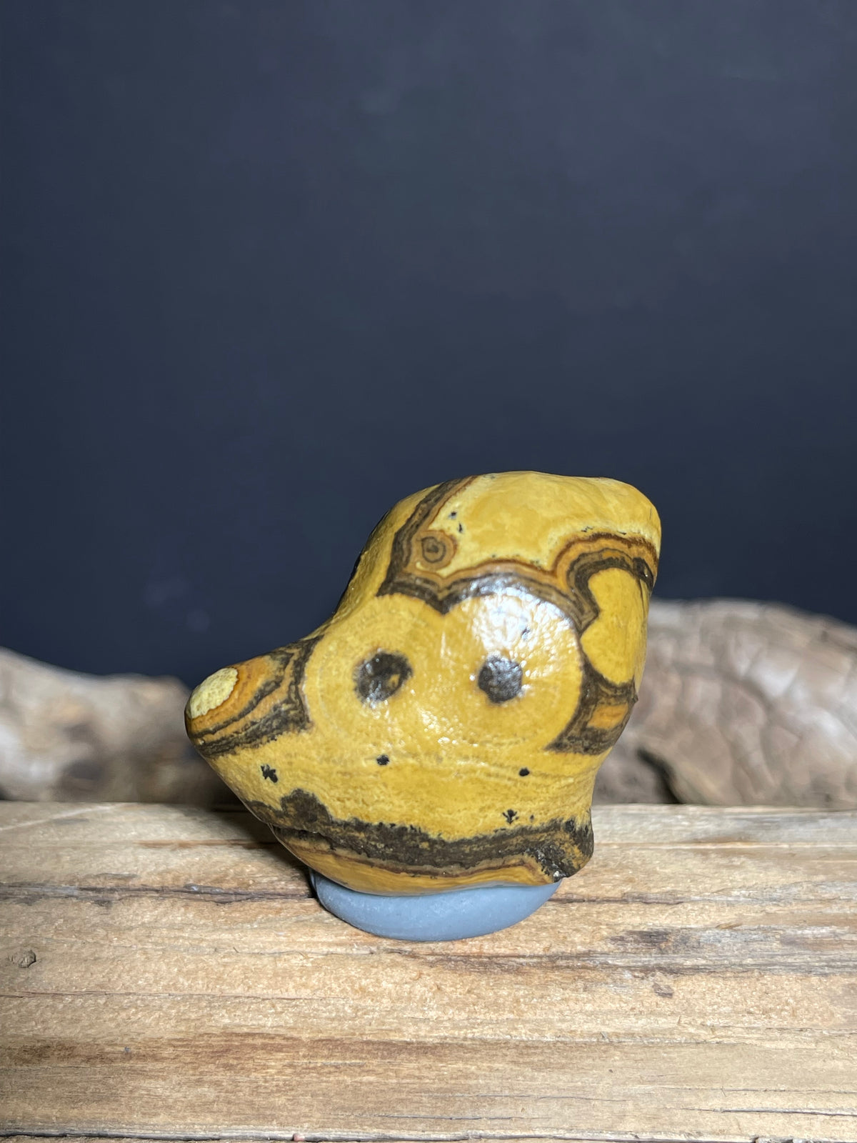 (1021)Natural Alxa  Gobi Coin Eye Agate - Golden Yellow with Bold Concentric Patterns