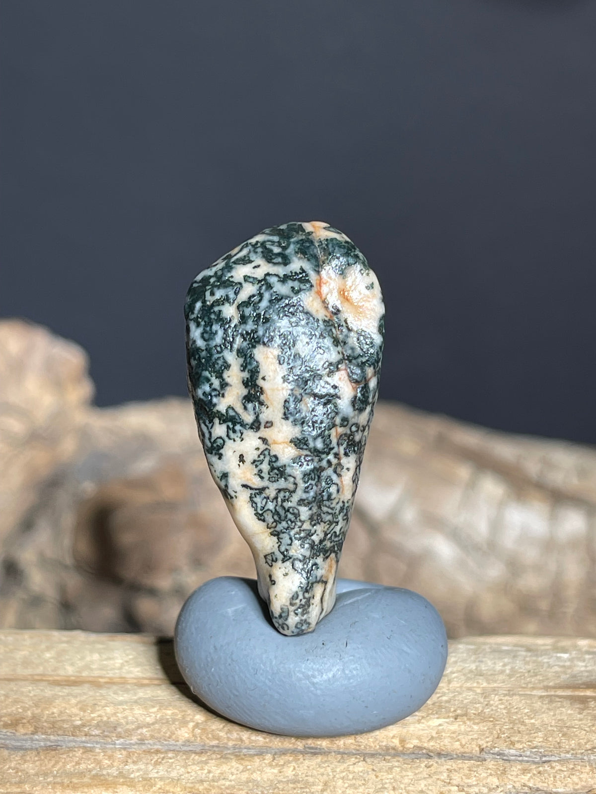 (1107)Natural Alxa Gobi Agate - Black Dendritic Pattern Collector stone
