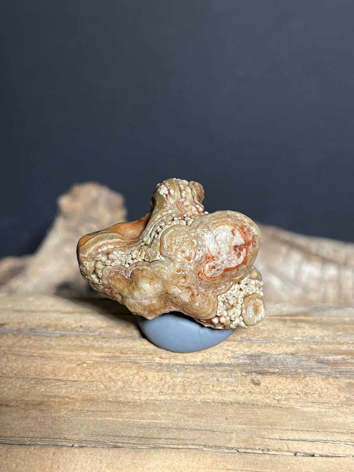 (1099)Natural Alxa Gobi Eye Agate - Multi-Eye Orbicular Stone with Botryoidal Texture
