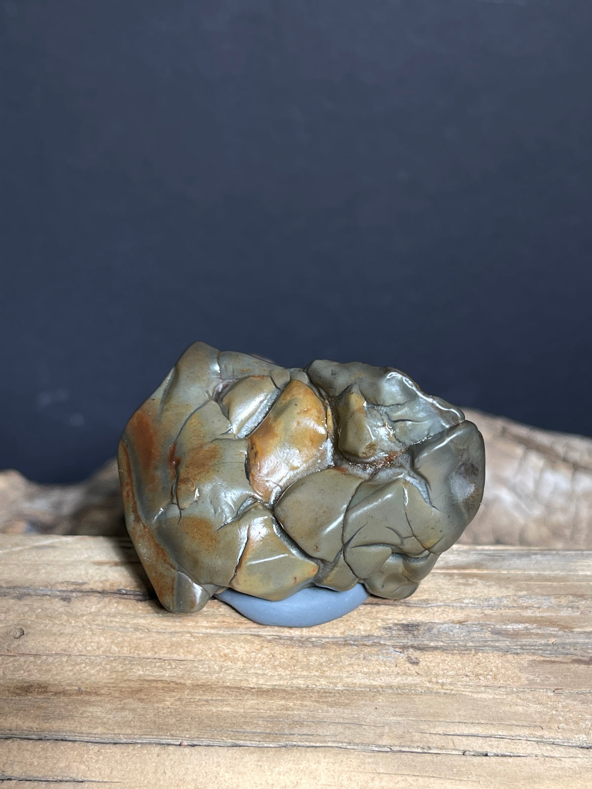 (1047)Natural Alxa Gobi Agate - “Horse Teeth” Sculpture Desert Stone
