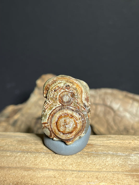 (1129) Natural Alxa Gobi Red Eye Agate -  Concentric Eye & Buddha-like Figure