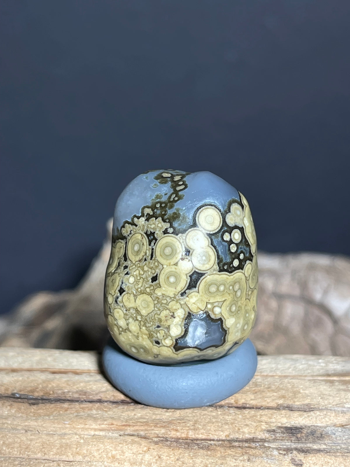(1019)Natural Alxa Gobi Multi-Eye Agate - Yellow Orbicular Patterns