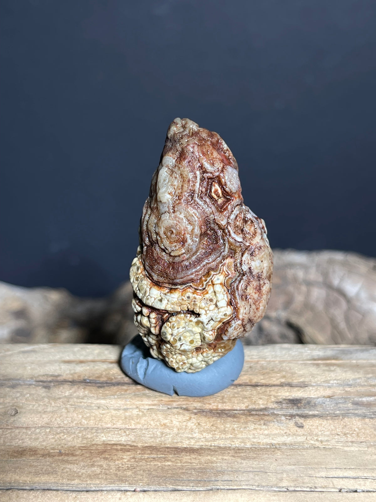 (1022)Natural Alxa Gobi Eye Agate - Raised Eye with Botryoidal Texture