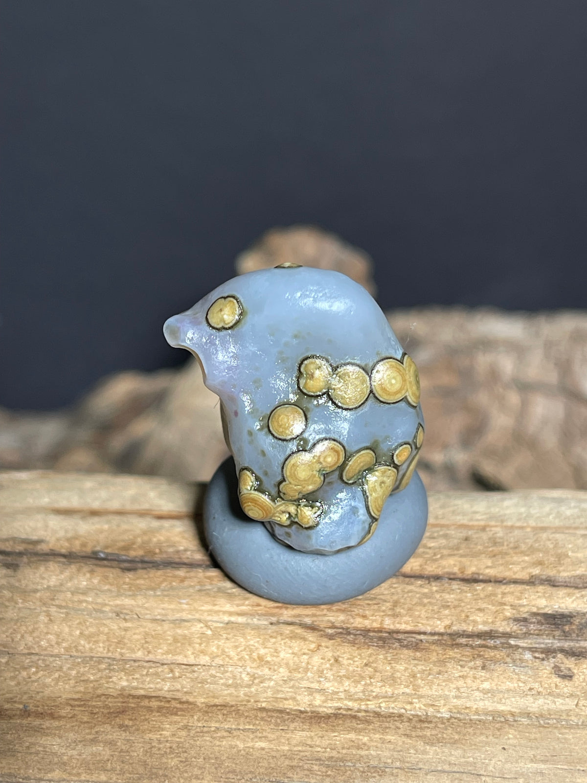 (1017)Natural Alxa Gobi Eye Agate - Blue Gray Stone with Golden Orbicular Eyes